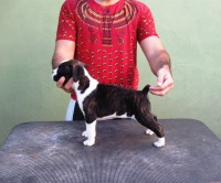 /album/thor-barun-sallenrod-x-rich-bourogh-xx-dsarm-lara1/img-6061-jpg/