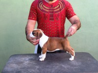 /album/thor-barun-sallenrod-x-rich-bourogh-xx-dsarm-lara1/img-6069-jpg/