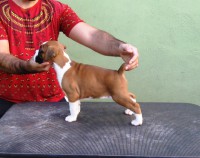 /album/thor-barun-sallenrod-x-rich-bourogh-xx-dsarm-lara1/img-6084-jpg/