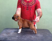 /album/thor-barun-sallenrod-x-rich-bourogh-xx-dsarm-lara1/img-6087-jpg/