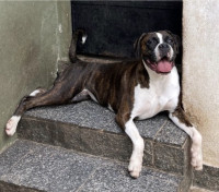 /album/familia-barun-sallenrod/img-4485-jpeg/