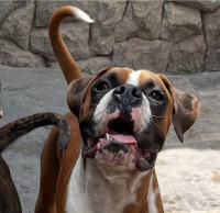 /album/familia-barun-sallenrod/img-4477-jpeg/