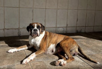 /album/familia-barun-sallenrod/img-4479-jpeg/