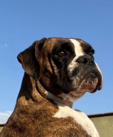 /album/familia-barun-sallenrod/img-4475-jpeg/