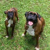 /album/familia-barun-sallenrod/6b3a8f36-b07a-4a8e-ae12-d6ef70a26fef-jpeg/