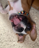 /album/familia-barun-sallenrod/93d8b1ad-05b1-4ec3-b46c-1e6de904618f-jpeg/