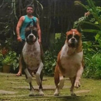 /album/familia-barun-sallenrod/b4f24912-6070-4bb7-a5a0-ba792959386f-jpeg/