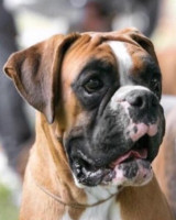 /album/familia-barun-sallenrod/d013d1c5-7a20-4ad9-b88f-2a823da42263-jpeg/