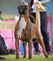 /album/familia-barun-sallenrod/332f7a01-a553-4abb-8d52-d7cae8e51fcb-jpeg/