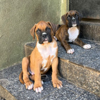 /album/familia-barun-sallenrod/e9ad948e-1ec6-4f5e-9164-f228ac84ebf9-jpeg/