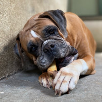 /album/familia-barun-sallenrod/c7fa5e63-241f-4e95-9063-f221003629c4-jpeg/