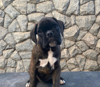 /album/familia-barun-sallenrod/a2ebb080-cee1-419b-8a4d-afce5cb09f82-jpeg/