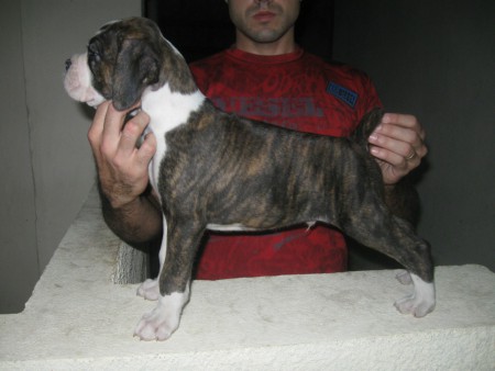 Fred Barun Sallenrod